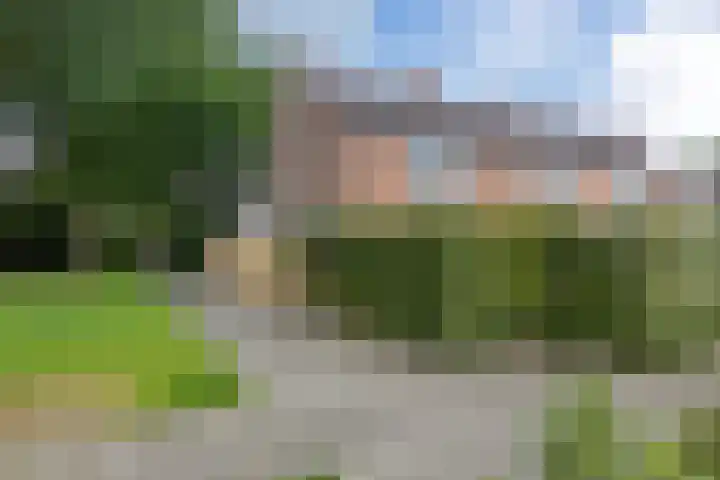 Kwartelstraat 7 Norg thumbnail 44