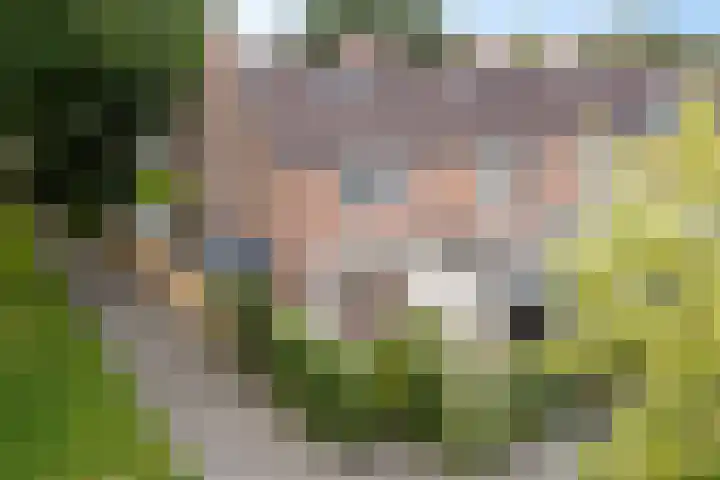 Kwartelstraat 7 Norg thumbnail 45
