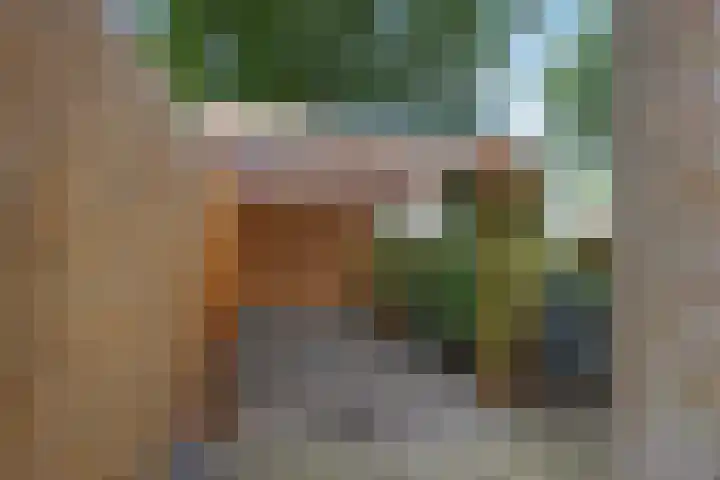 Kwartelstraat 7 Norg thumbnail 7