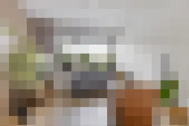 Kwartelstraat 7 Norg thumbnail 8
