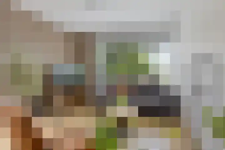 Kwartelstraat 7 Norg thumbnail 9