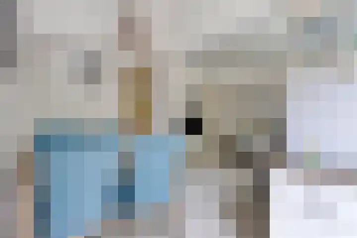 Kwartelstraat 8 C Rotterdam thumbnail 12
