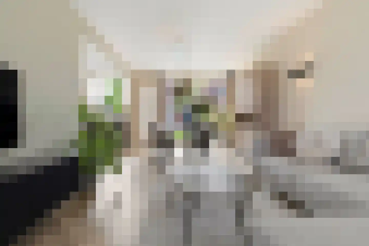Kwartelstraat 8 Helmond thumbnail 14