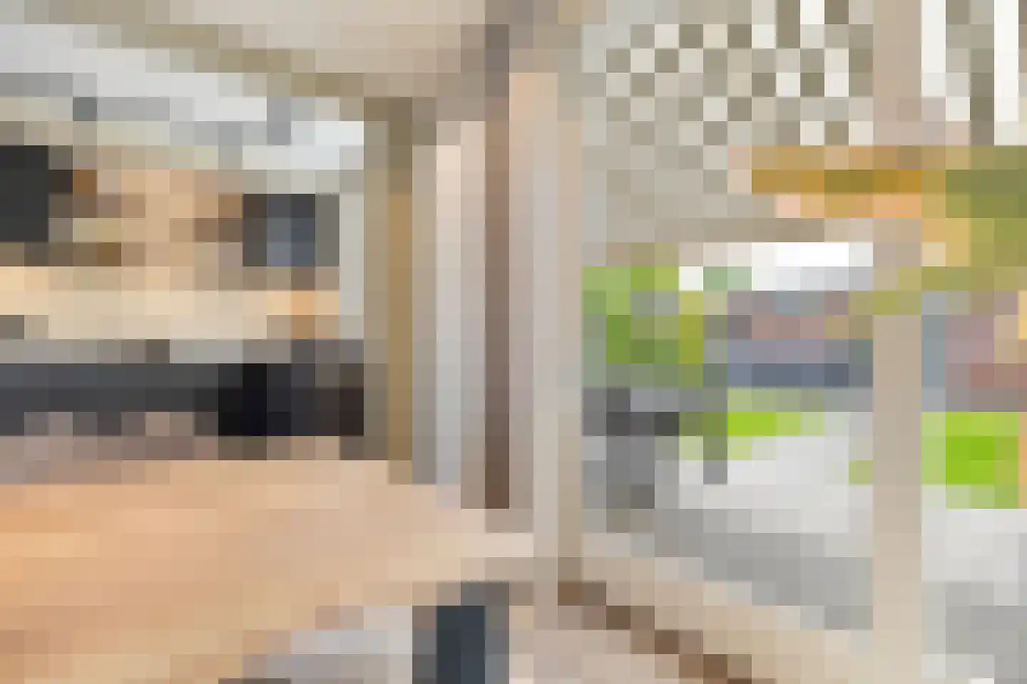 Kwartelstraat 8 Helmond thumbnail 16
