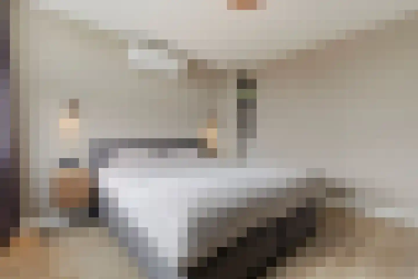 Kwartelstraat 8 Helmond thumbnail 21