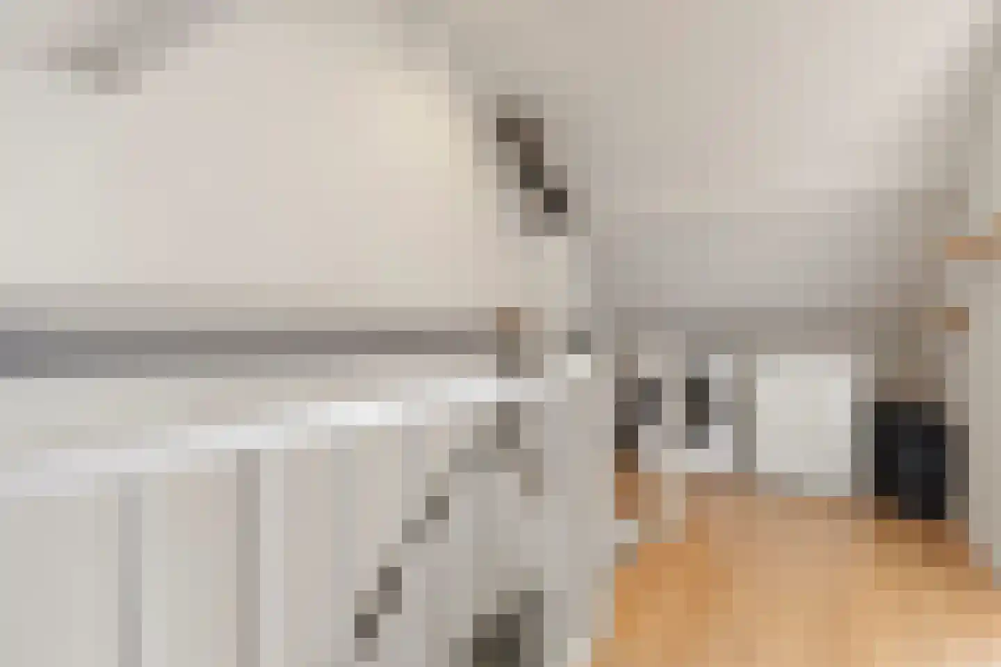 Kwartelstraat 8 Helmond thumbnail 29