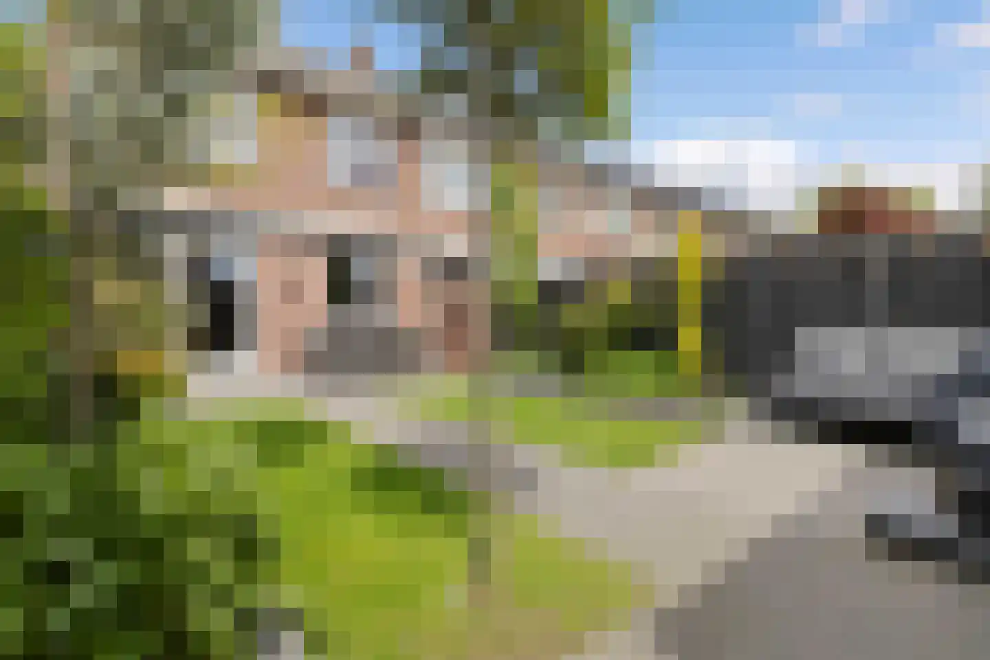 Kwartelstraat 8 Helmond thumbnail 37