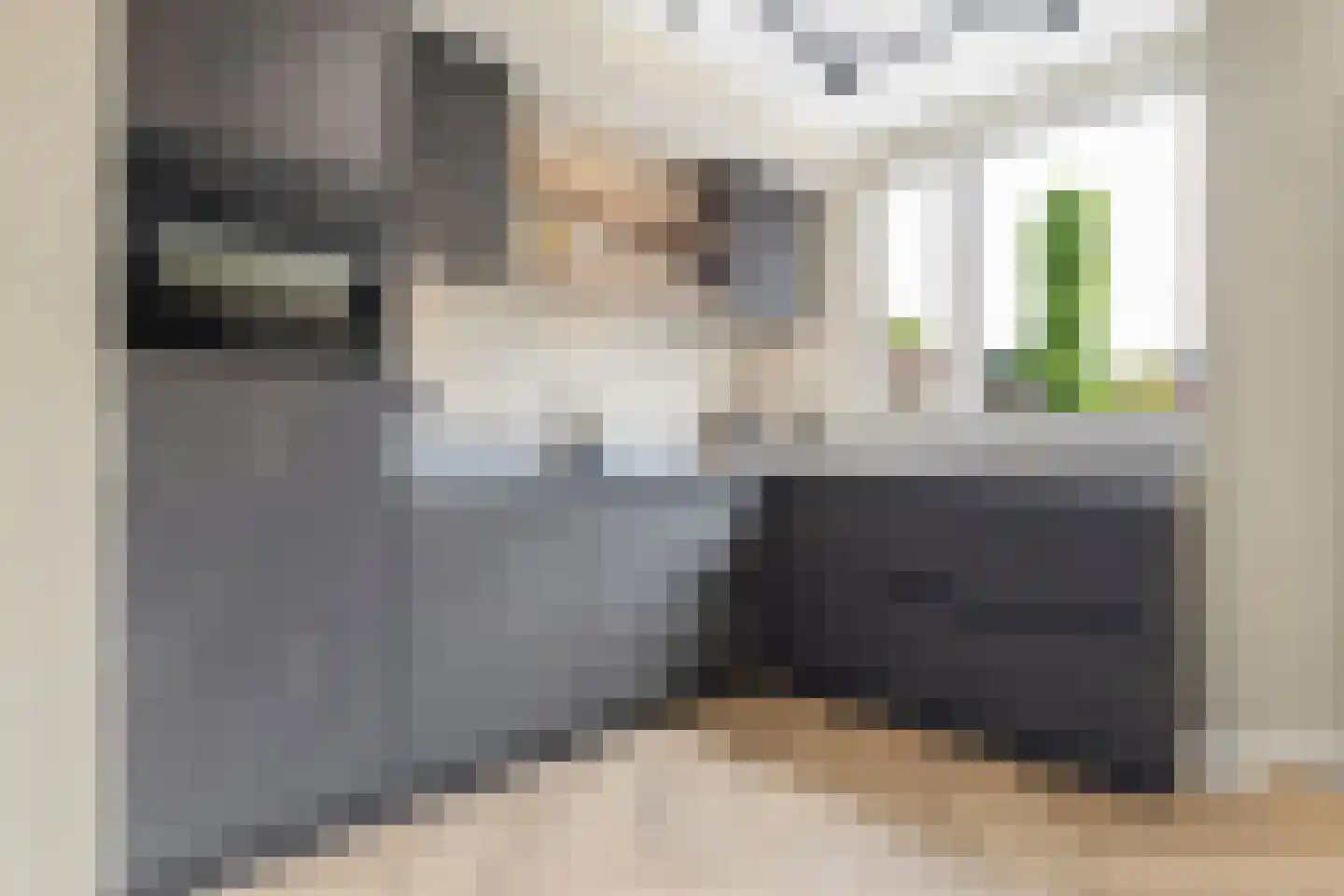 Kwartelstraat 8 Helmond thumbnail 6