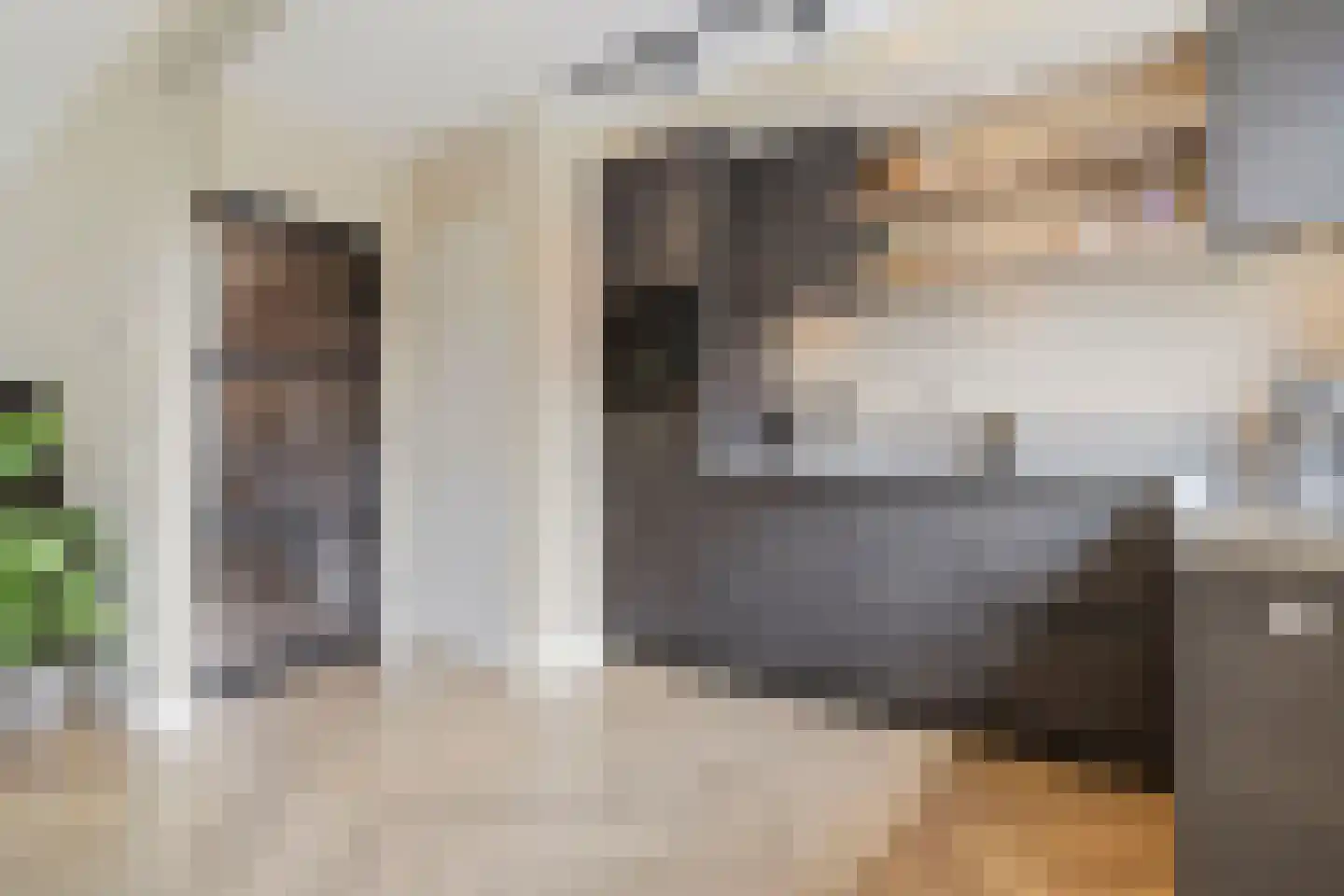 Kwartelstraat 8 Helmond thumbnail 7