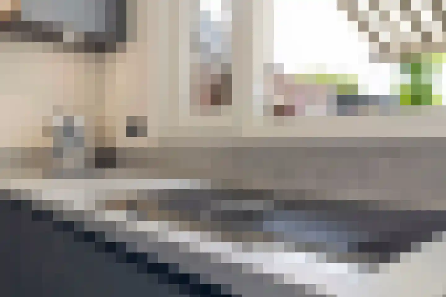 Kwartelstraat 8 Helmond thumbnail 9