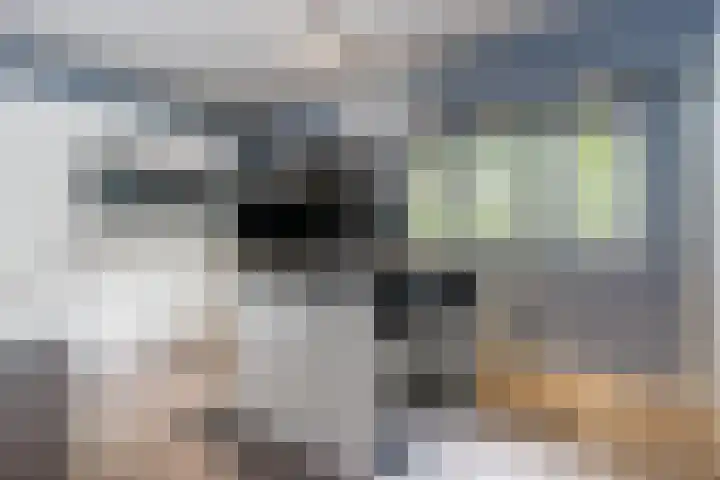 Kwartelweg 12 Wapenveld thumbnail 10