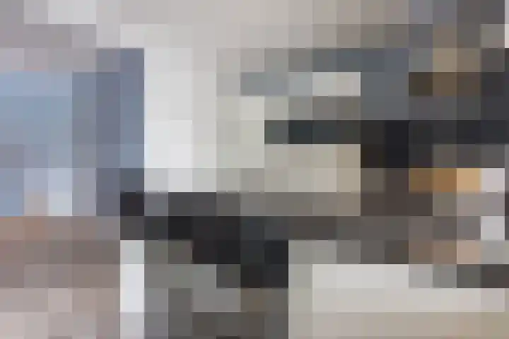 Kwartelweg 12 Wapenveld thumbnail 11