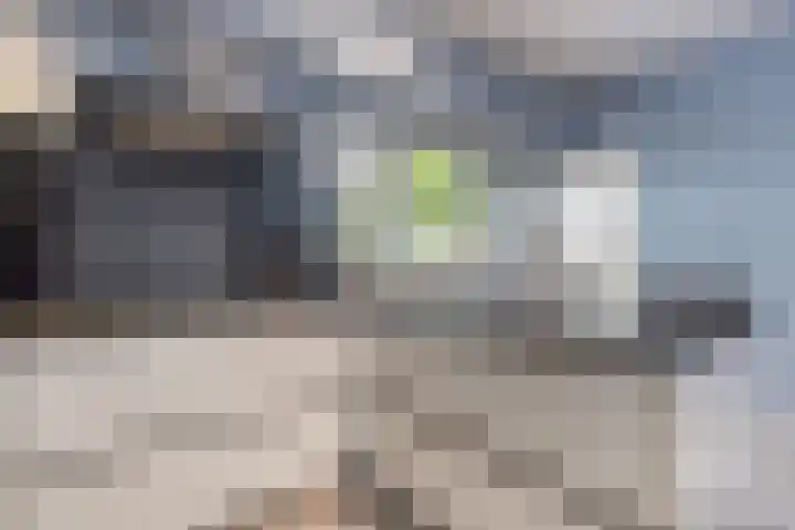 Kwartelweg 12 Wapenveld thumbnail 12