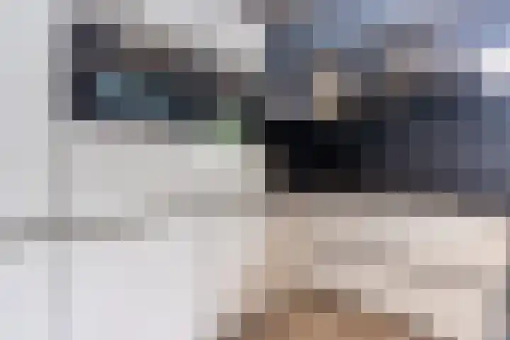 Kwartelweg 12 Wapenveld thumbnail 13