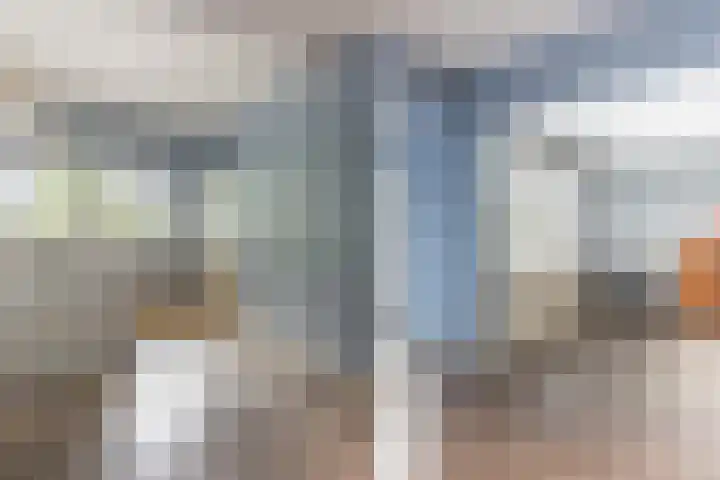 Kwartelweg 12 Wapenveld thumbnail 14