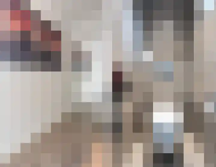 Kwartelweg 12 Wapenveld thumbnail 19