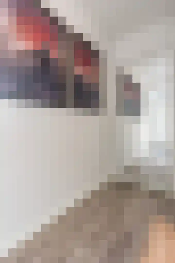 Kwartelweg 12 Wapenveld thumbnail 20