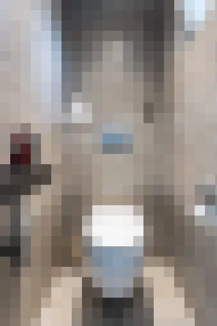 Kwartelweg 12 Wapenveld thumbnail 21