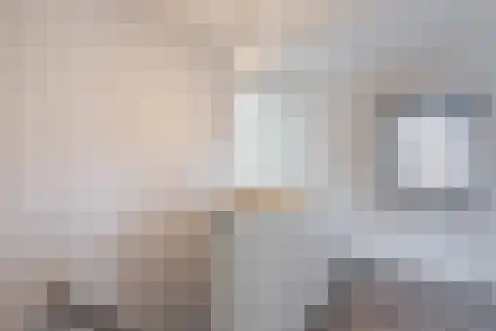 Kwartelweg 12 Wapenveld thumbnail 23
