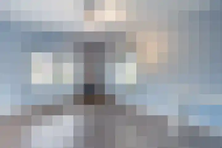 Kwartelweg 12 Wapenveld thumbnail 26