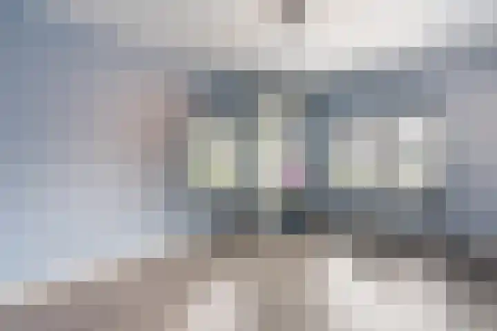 Kwartelweg 12 Wapenveld thumbnail 28