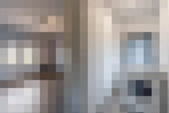 Kwartelweg 12 Wapenveld thumbnail 30
