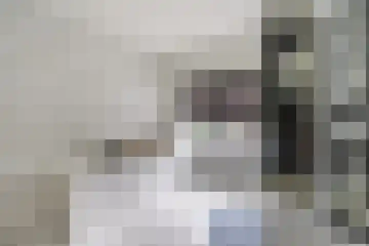 Kwartelweg 12 Wapenveld thumbnail 31