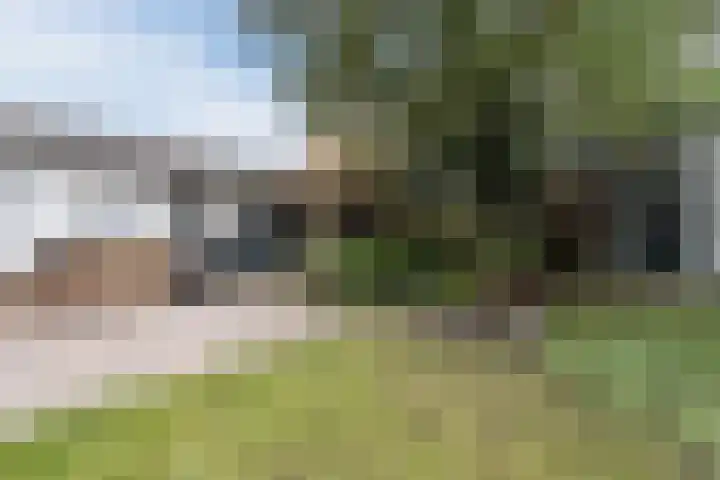 Kwartelweg 12 Wapenveld thumbnail 34