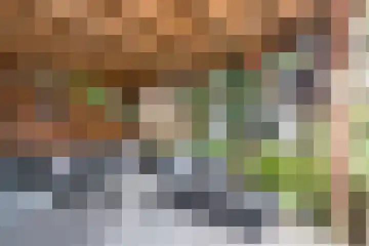Kwartelweg 12 Wapenveld thumbnail 35