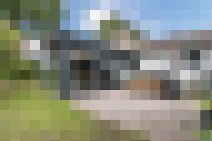 Kwartelweg 12 Wapenveld thumbnail 36