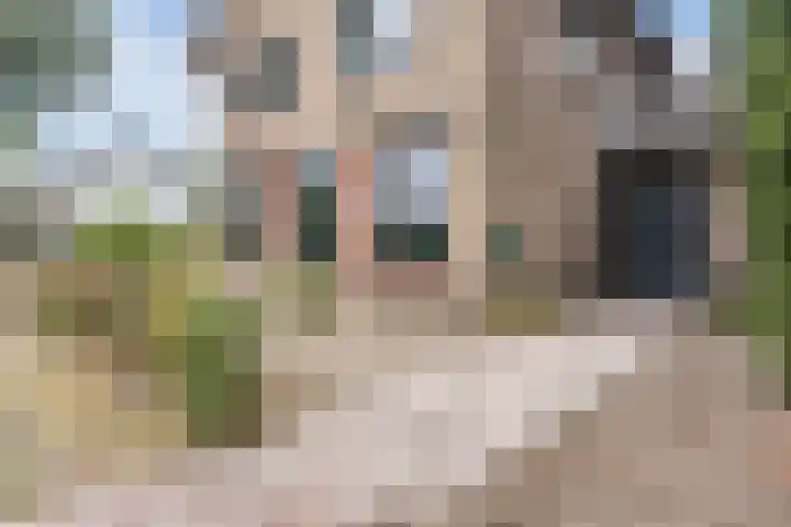 Kwartelweg 12 Wapenveld thumbnail 40