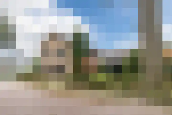 Kwartelweg 12 Wapenveld thumbnail 41