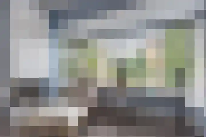 Kwartelweg 12 Wapenveld thumbnail 5