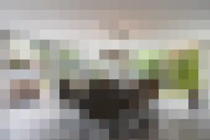 Kwartelweg 12 Wapenveld thumbnail 6