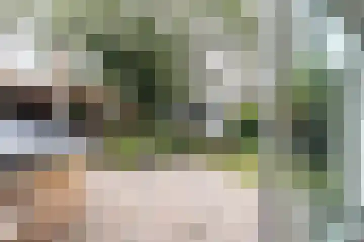 Kwartelweg 12 Wapenveld thumbnail 7