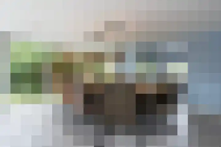 Kwartelweg 12 Wapenveld thumbnail 8
