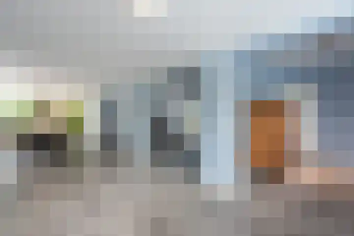 Kwartelweg 12 Wapenveld thumbnail 9