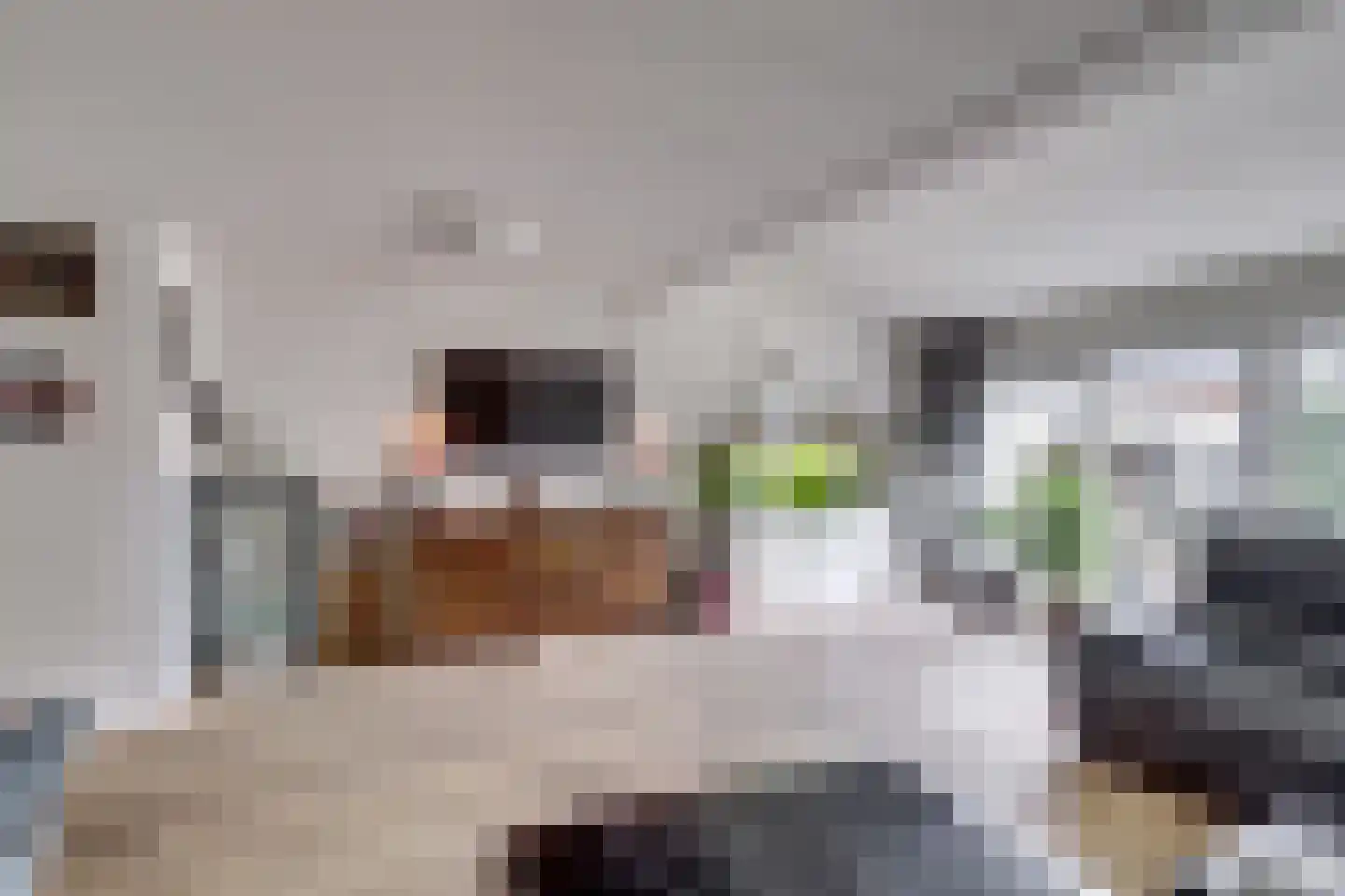 Kwartelweide 11 Houten thumbnail 12