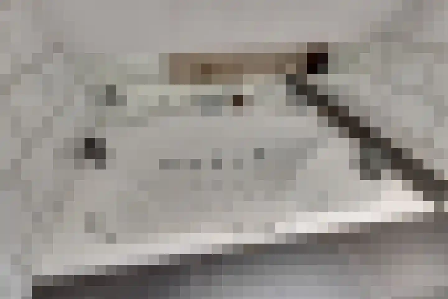 Kwartelweide 11 Houten thumbnail 19