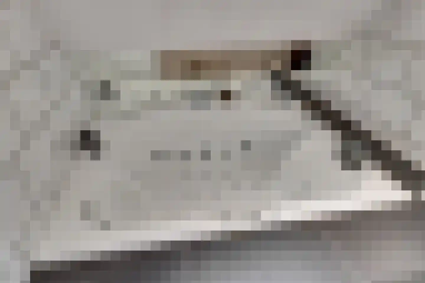 Kwartelweide 11 Houten thumbnail 20