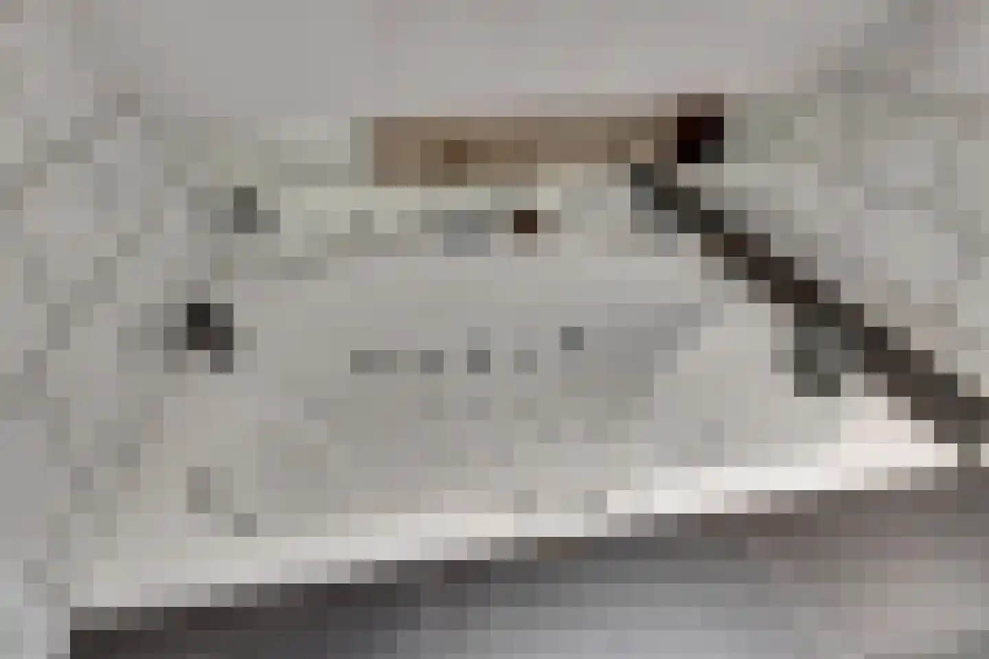 Kwartelweide 11 Houten thumbnail 20