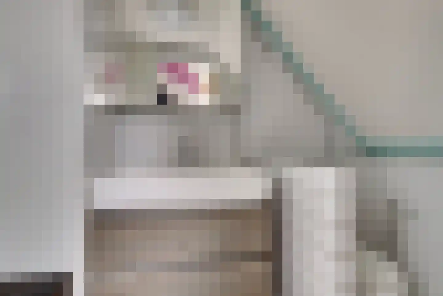 Kwartelweide 11 Houten thumbnail 25