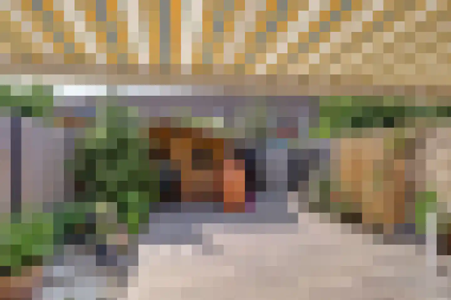 Kwartelweide 11 Houten thumbnail 27