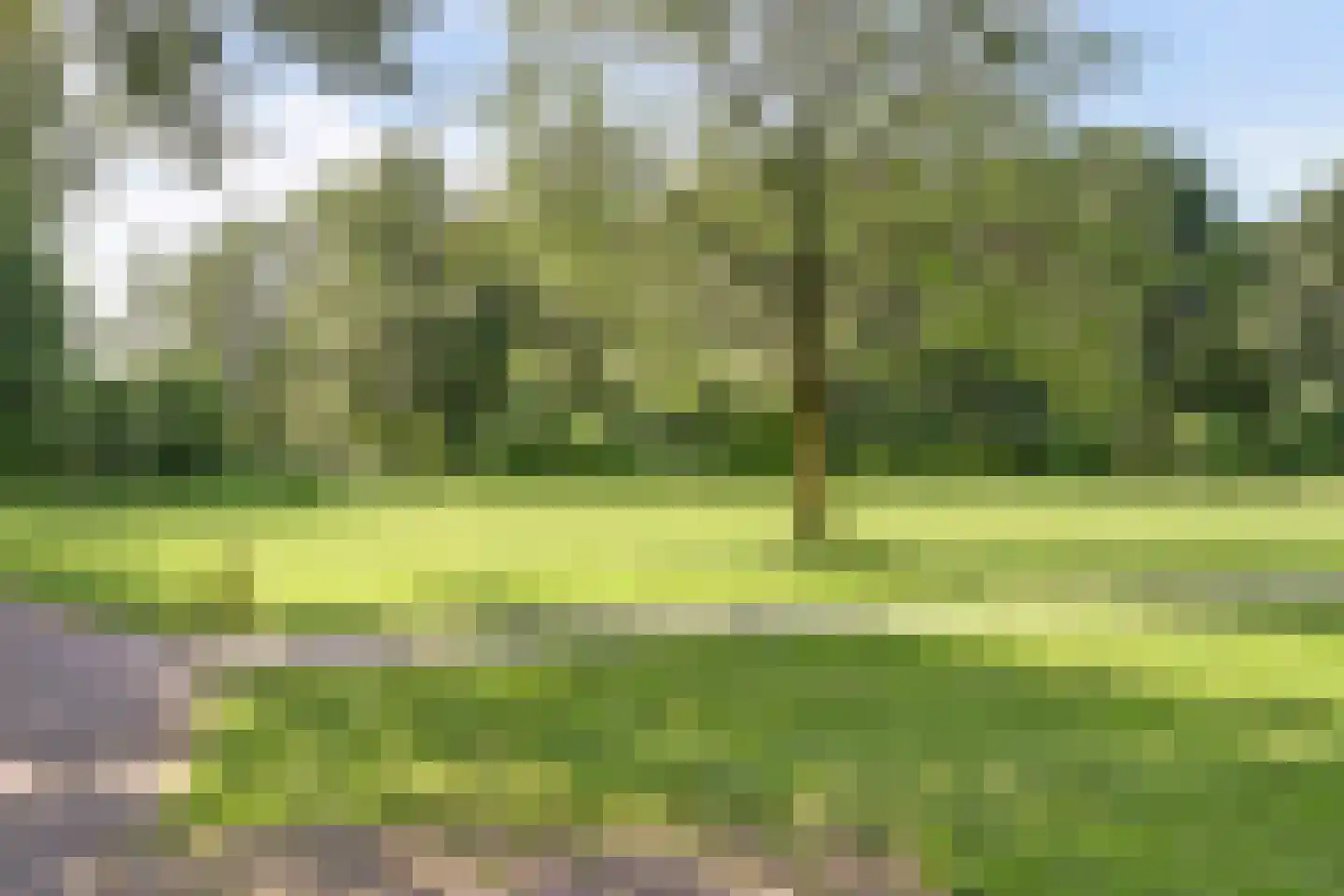 Kwartelweide 11 Houten thumbnail 29