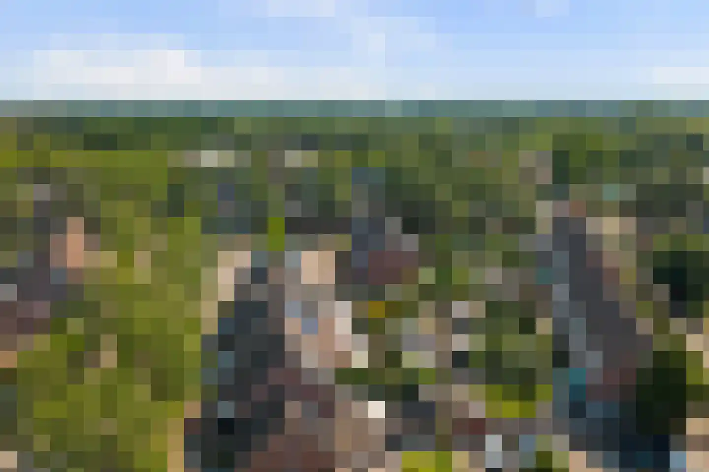 Kwartelweide 11 Houten thumbnail 31