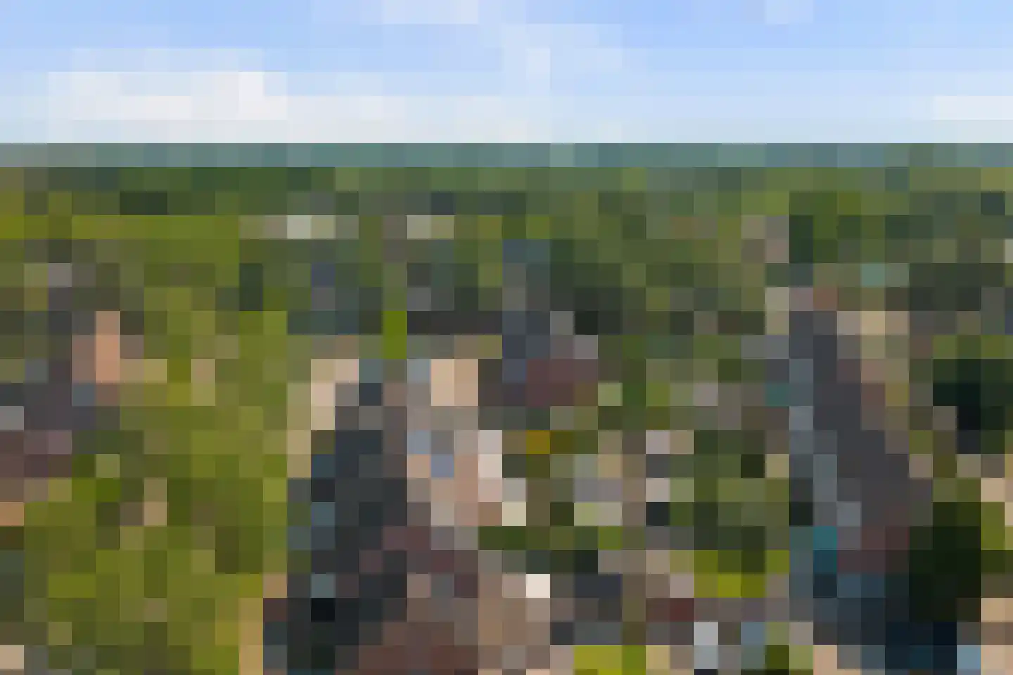 Kwartelweide 11 Houten thumbnail 31