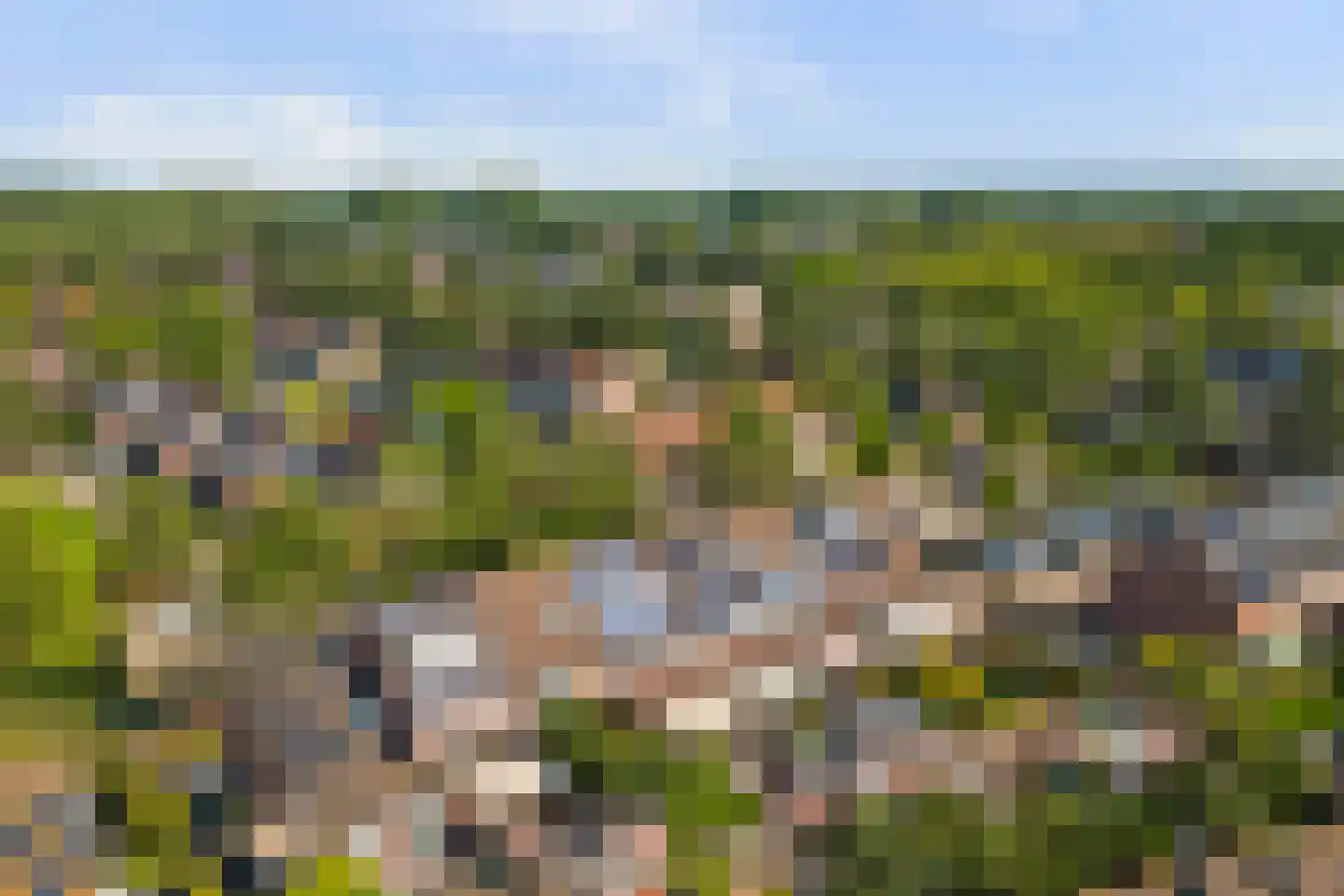 Kwartelweide 11 Houten thumbnail 32