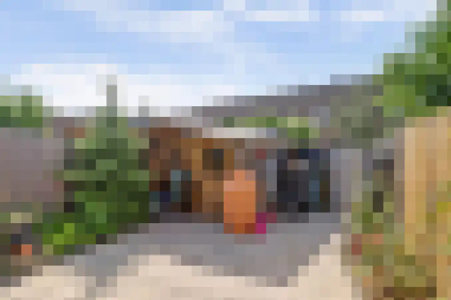 Kwartelweide 11 Houten thumbnail 7