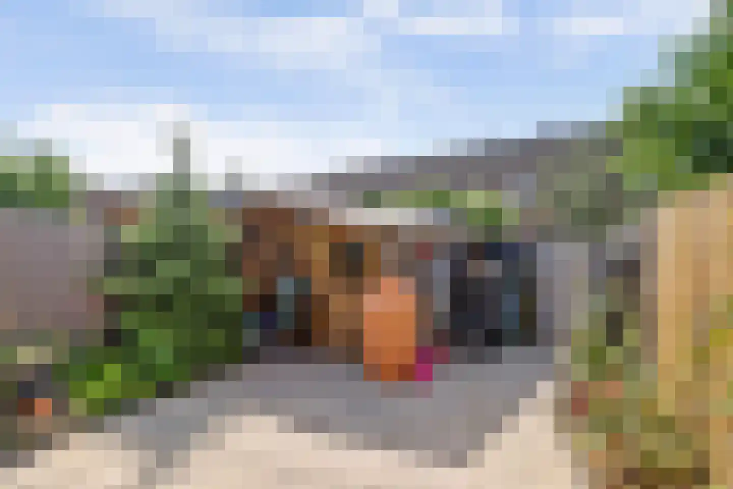 Kwartelweide 11 Houten thumbnail 7