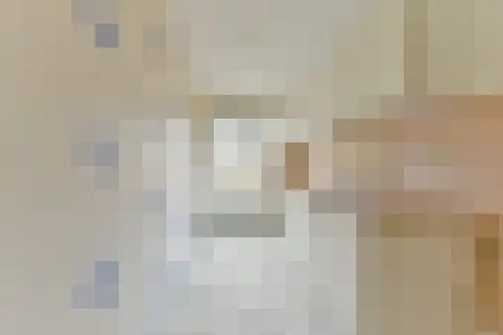 Kwartelweide 47 Houten thumbnail 14